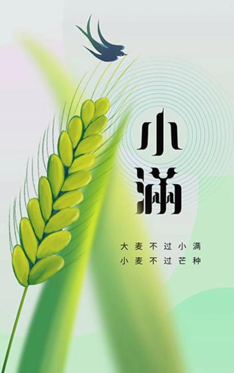 小麦太稀怎样才能高产发芽快呢