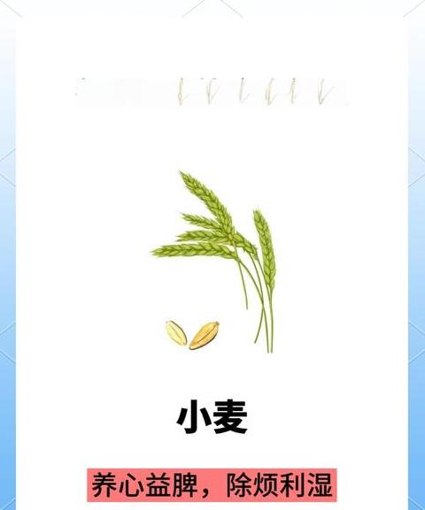 夏天的小麦的句子