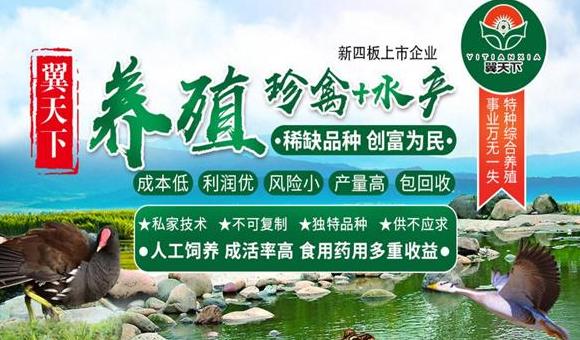 太原鱼菜共生养殖加盟优势解析