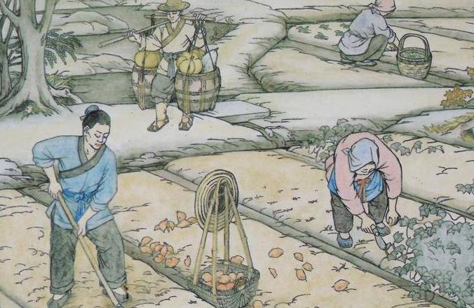 中国古代农业精耕细作的历史演变