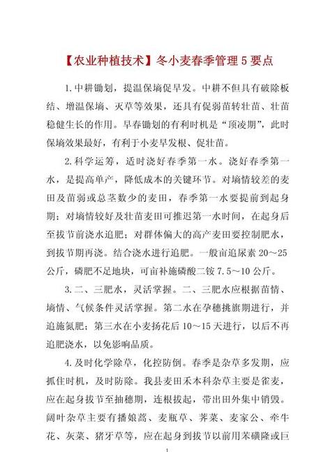 小麦种植与管理全攻略：从土地准备到田间管理技巧