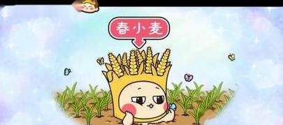小麦磨粉全过程解析
