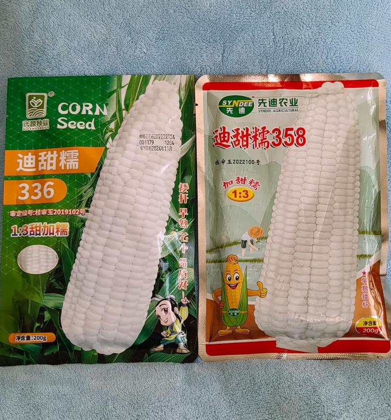 白糯玉米种子推荐：盘点高甜高粘品种