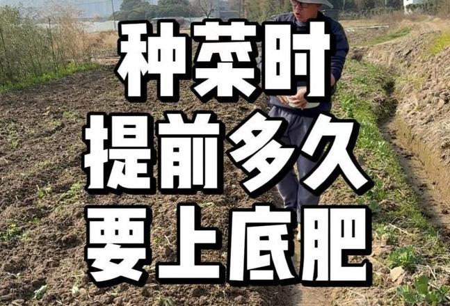 种菜施肥时间表：不同肥料及蔬菜的施肥频率
