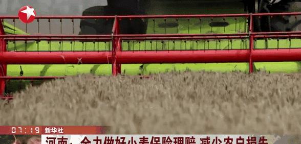 小麦倒伏理赔指南：如何证明与天气相关及索赔标准详解