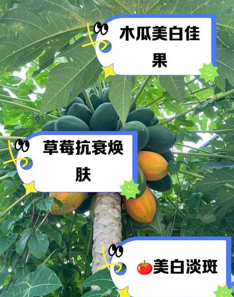 果汁美白秘籍：柠檬、黄瓜、苹果，你喝对了吗？