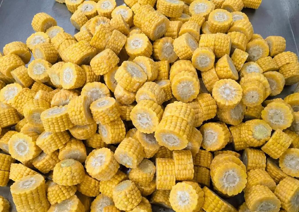 新鲜玉米保存技巧：烹饪、冷冻、真空包装等多方法解析
