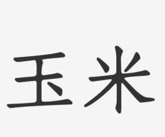 玉米的简介20字