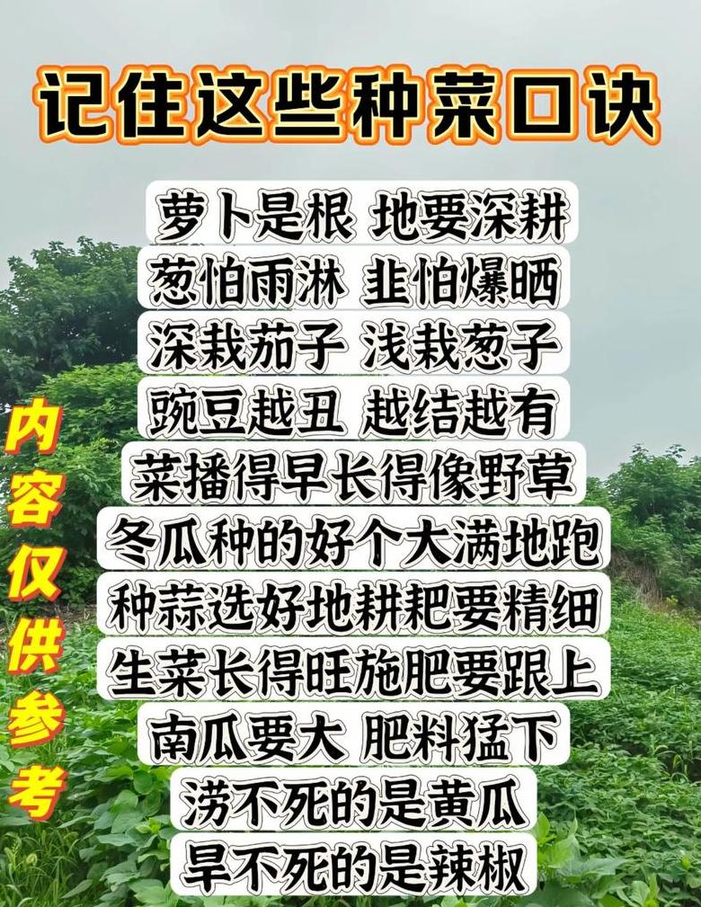 二十四节气顺口溜：古韵农业智慧解析