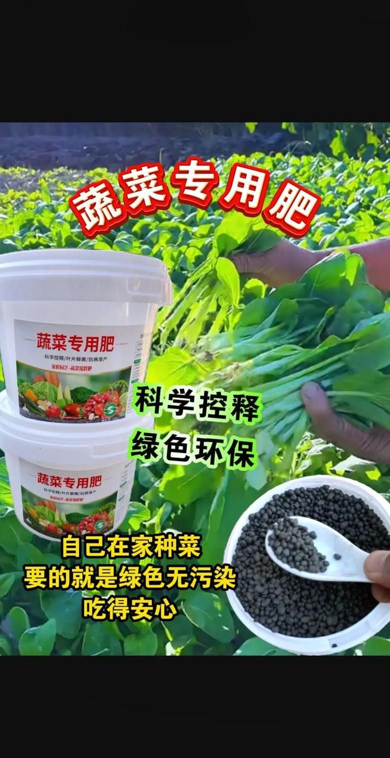 种菜施肥时间及方法指南