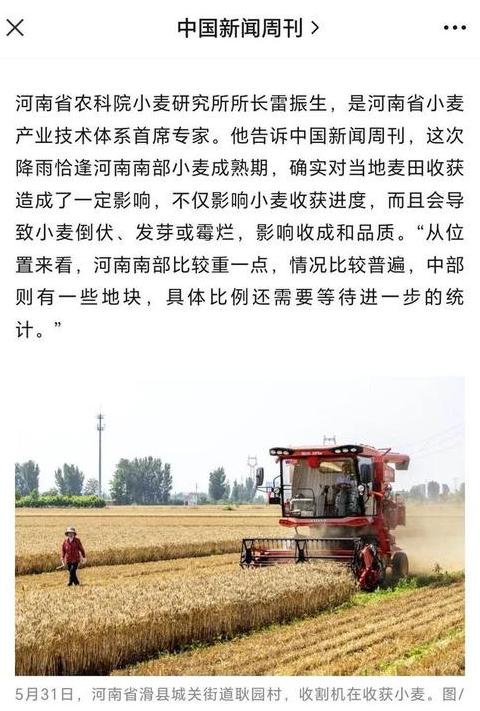 农作物种植与收获时间指南：中国主要作物详解