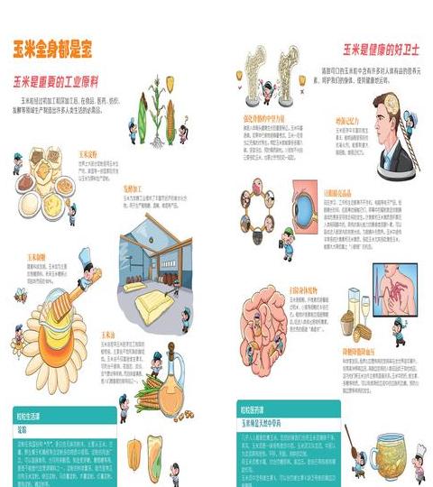 玉米的起源是什么