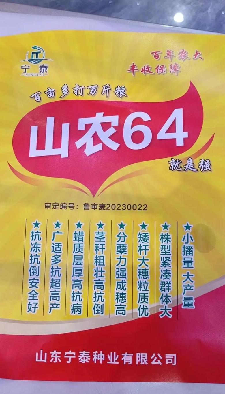 山农38小麦：高效益的优质小麦品种介绍