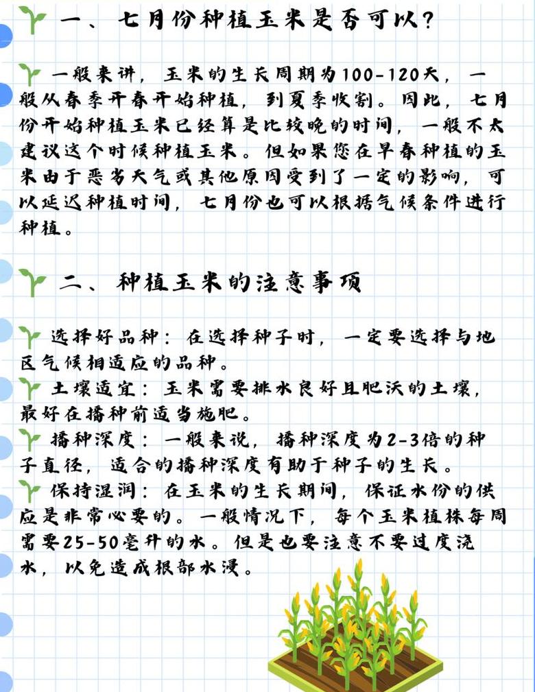 玉米种植最佳时机详解
