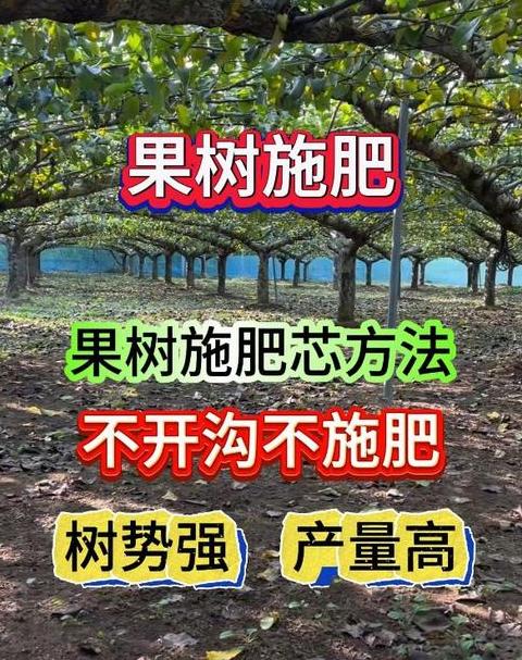 果实膨大期施肥攻略：苹果、梨、柑橘、桃树肥料选择与用量