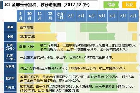 2024年玉米成熟时间及播种收获指南