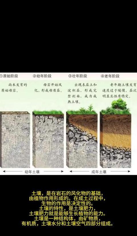 土壤耕作目的与机械分类详解