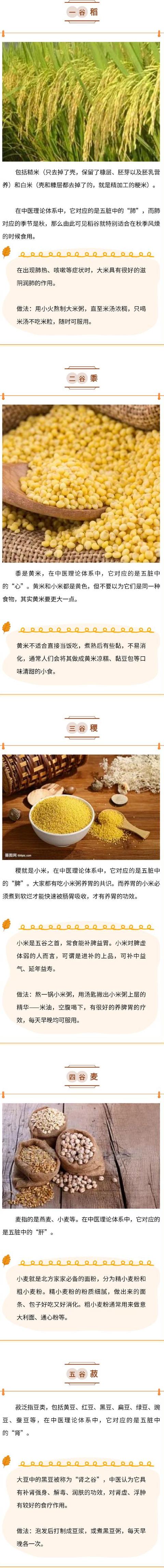 小麦、水稻、小米：颜色、大小及营养差异解析