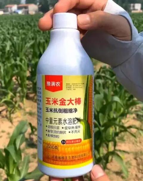 玉米开花期施复合肥可以吗