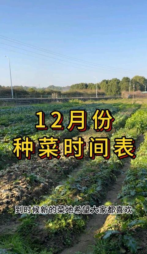 四月份种植蔬菜推荐指南