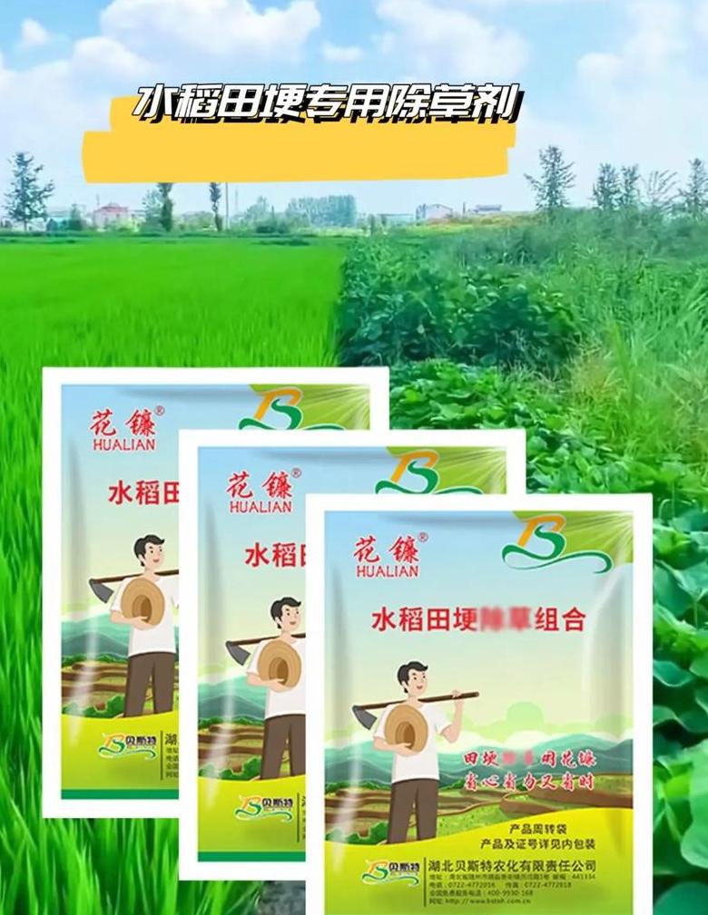 直播稻播种量与施肥指南