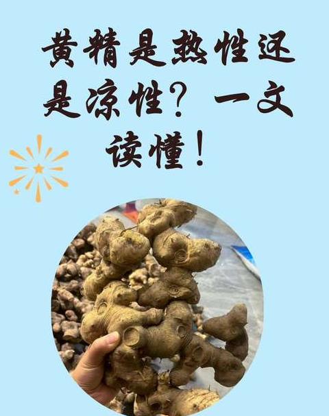 黄精种植施肥时机及方法全解析
