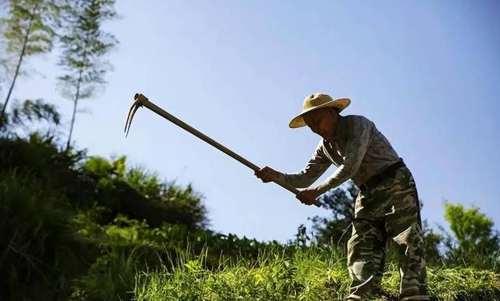 于谦父亲：一位中国农民的辛勤与希望