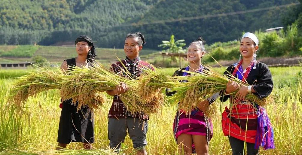 民和侗族土家族苗族乡：农业、工业与旅游资源全解析