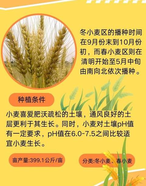 八年级地理知识点精讲：全面梳理与记忆技巧