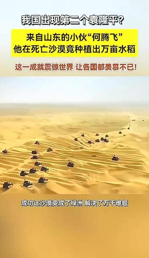 沙漠变粮仓：中国沙漠水稻种植奇迹揭秘