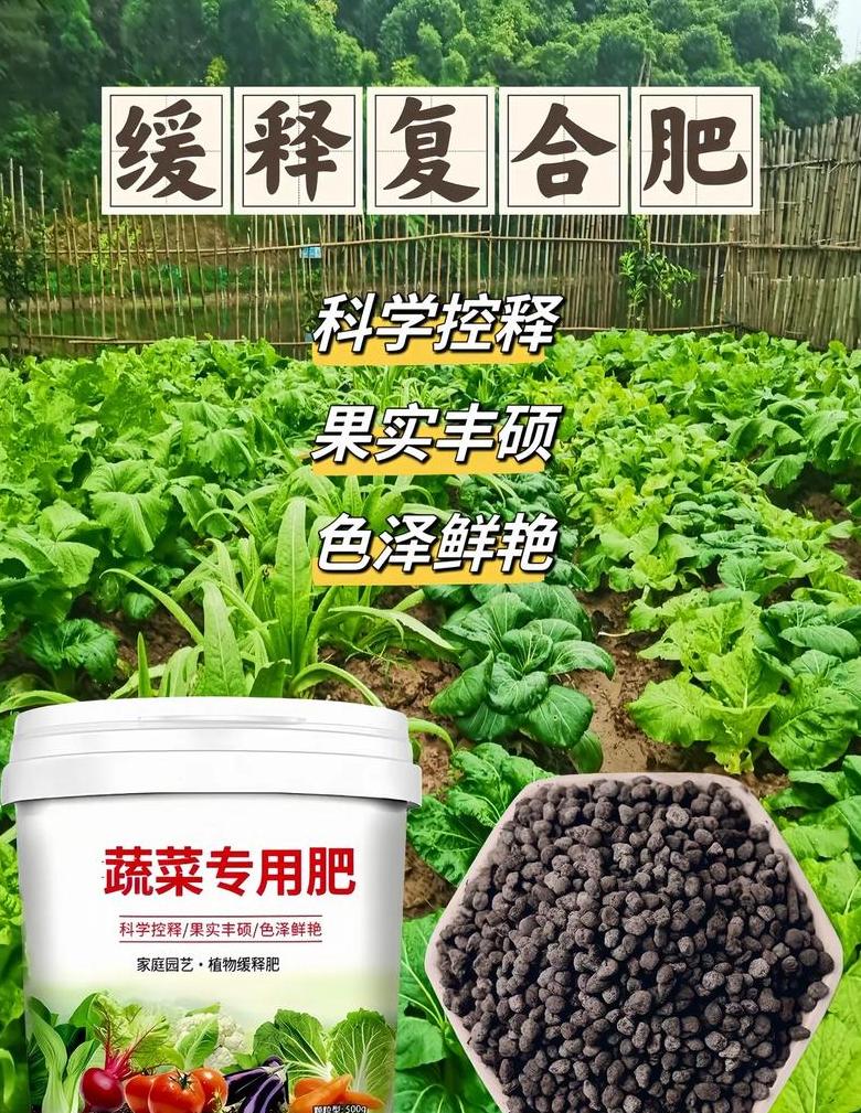 蔬菜施肥后多少天可以吃