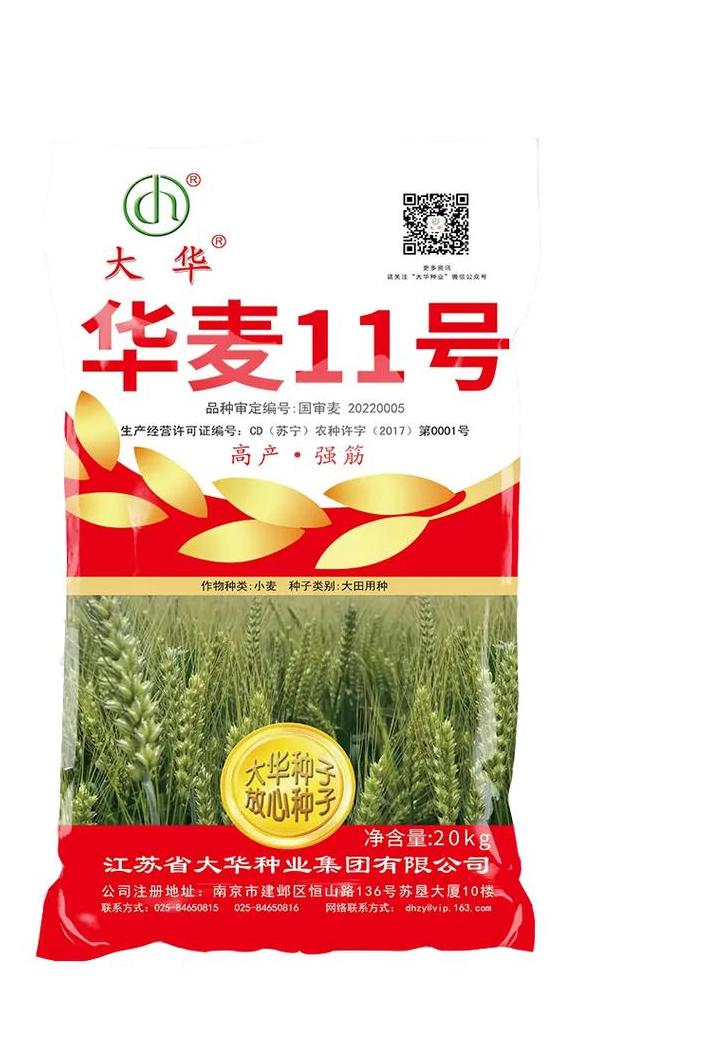 十大小麦种子品牌盘点：高品质种子的选择之道