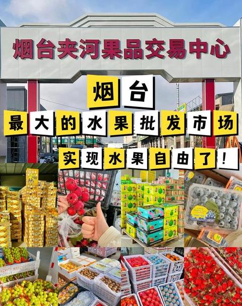 标果水果批发平台解析：BiohyFactory与Gudeng农村批发网络优势对比