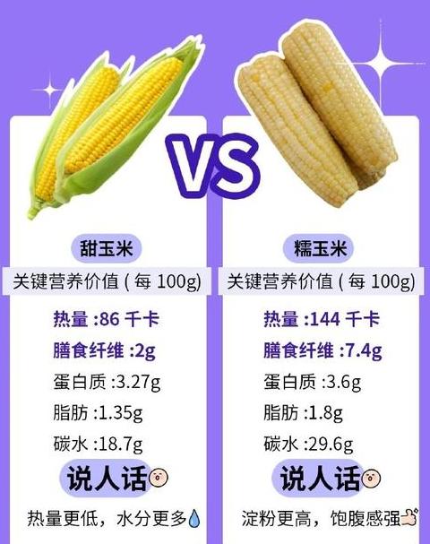 玉米种植与收获季节全解析