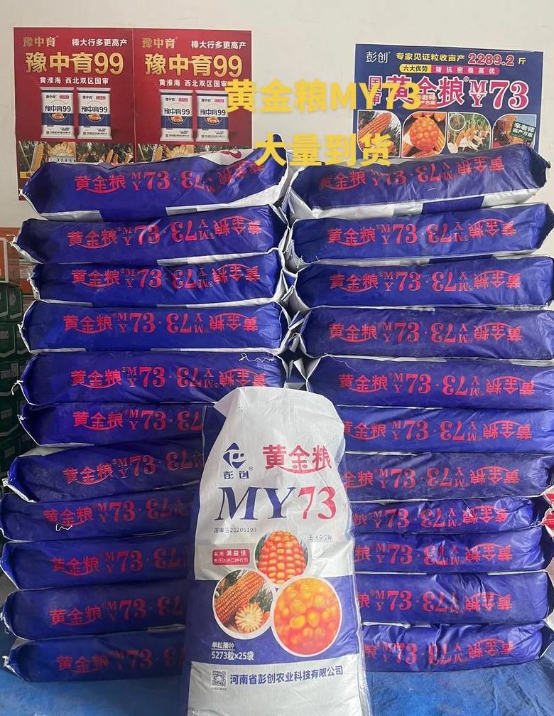 玉米种子828简介
