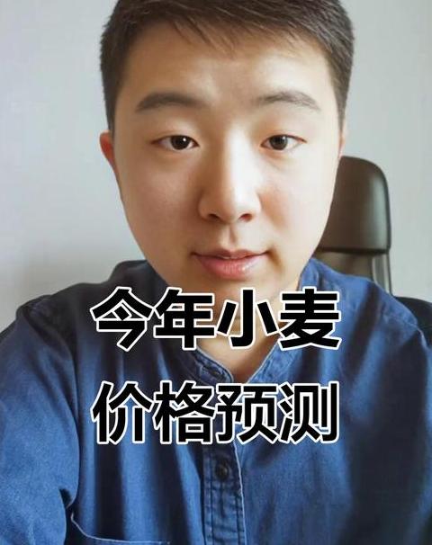 小麦2024年价格走势