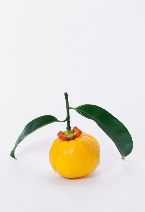 蔬菜水果营养PK：孩子不爱吃蔬菜，水果能替代吗？