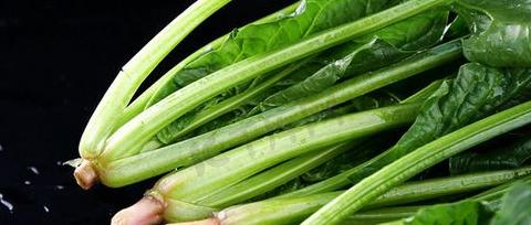 菠菜属于蔬菜作物吗