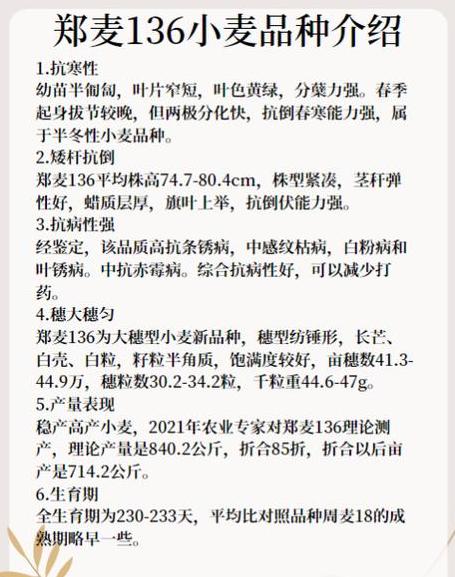 郑麦9023：新优质小麦品种特性解析