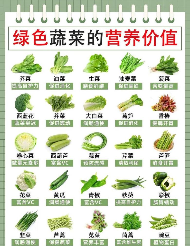 盘点营养价值高的绿色蔬菜及推荐佳品