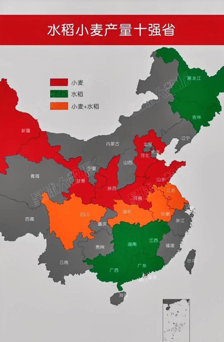 中国小麦主产区分布揭秘