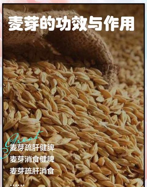 小麦泡水多久能发芽？影响发芽的关键因素揭秘