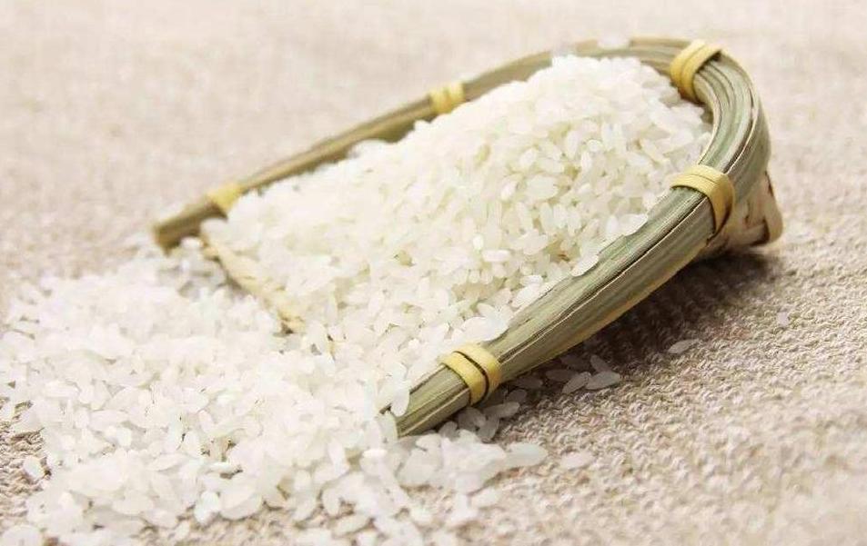 小麦：粗细之分与营养奥秘解析
