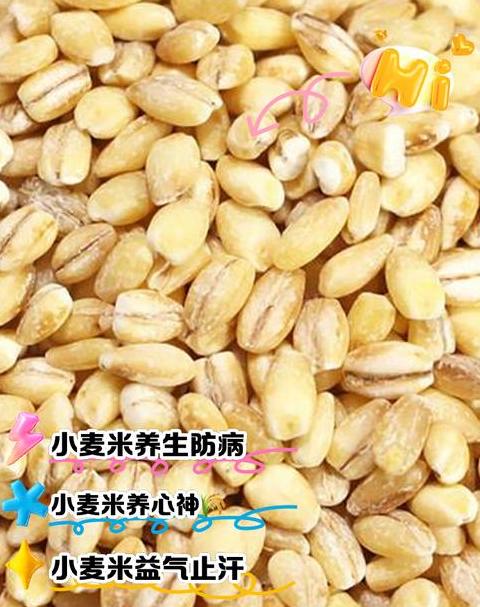 大米与小麦营养对比：全面解析差异与选择指南