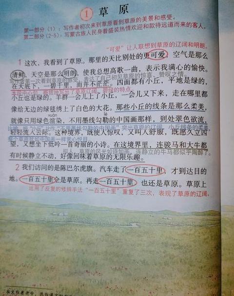 草原之美：作者情系草药土地与民族团结