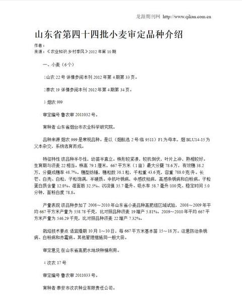 山东山农系列小麦品种推荐：Jimai38种麦子表现最佳