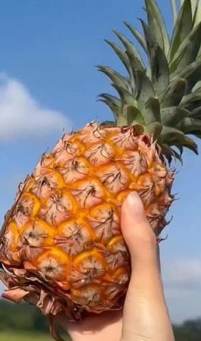 三月当季水果大盘点
