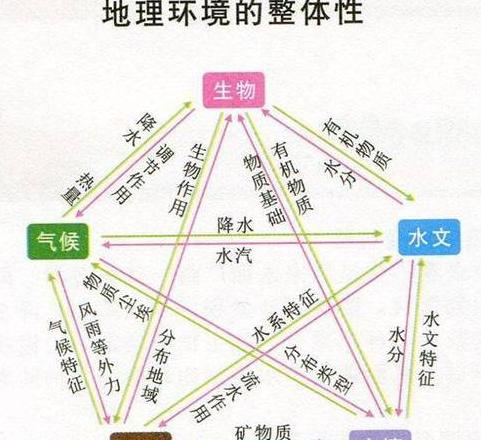 中国小麦主要分布区域解析