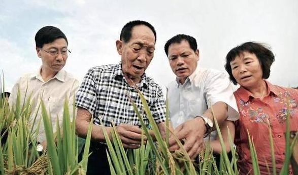 Buyi族：揭秘中国西南的水稻民族