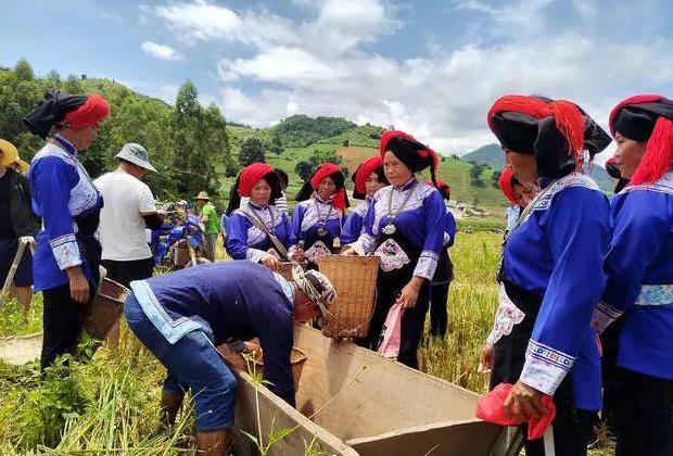 Buyi族：中国南部水稻民族的传承与生活